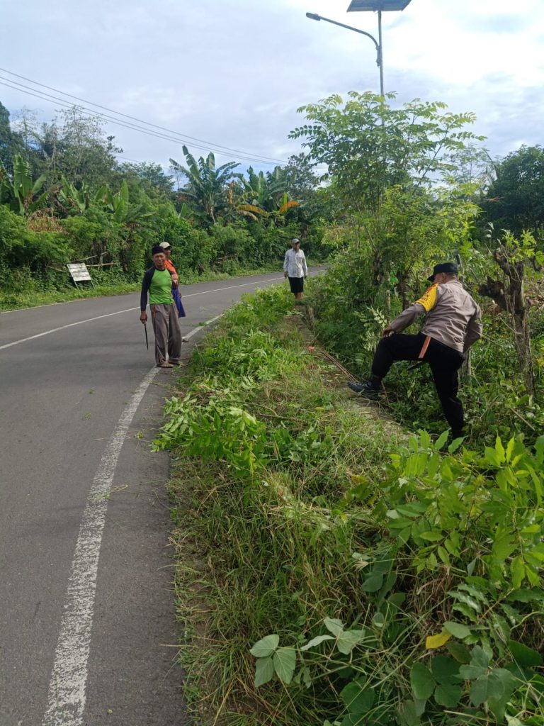 IMG-20221125-WA0003